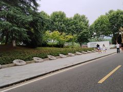 -宜兴龙背山森林公园
