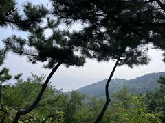 -棒棰岛宾馆景区