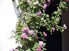 -金谷里艺术馆