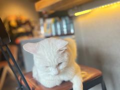 -古耳咖啡(北锣店)