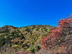 -北京西山国家森林公园