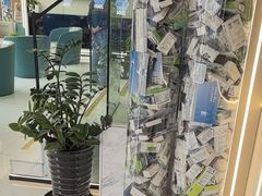 -华齿口腔·矫正种植中心(松江环城路店)