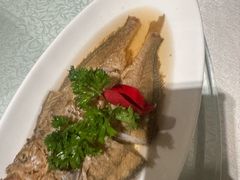 -金美华轩(东方路齐鲁店)