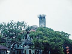 -江心屿景区