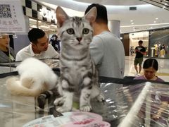 -凯德广场(学府店)