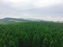 -塞罕坝国家级自然保护区