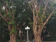 -人民公园(罗湖区)