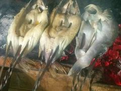 -新疆风味冷水鱼庄(友谊峰路店)