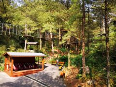 -梦幻奥陶纪景区