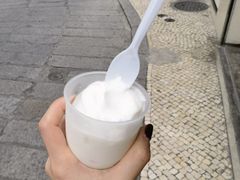 -洪馨椰子