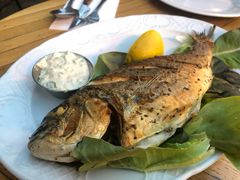 烤全鱼-Goocha Dizengoff