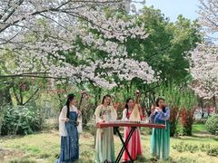 -堤角公园