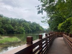 -青城山