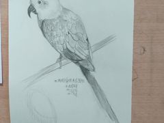 -BRAVO 赞·美艺术中心·系统美术·书法·艺考(双井校区)