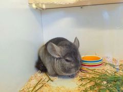 -龙猫仔乐园(惠福东路店)