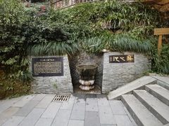 -十八棵（老龙井）御茶园(老龙井店)