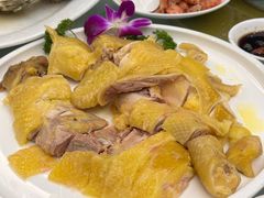 -泉龙渔村·粤式早茶·金牌烧鹅(中山三乡店)