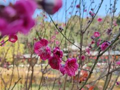 -桃花涧