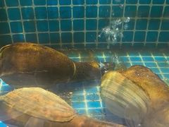 -庆赫隆融合菜馆(群力店)