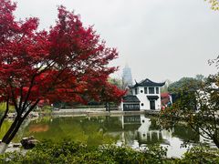 -红梅公园