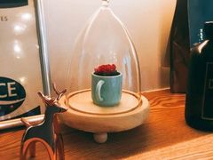 -COFFELIZ COFFEE