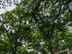 -太子山公园(园东路)