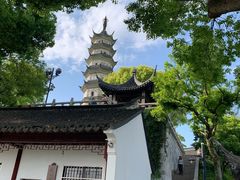 -苏州上方山国家森林公园