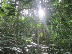 -武吉知马自然保护区