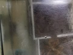 -金丹酱板鸭营业厅(紫缘路店)