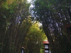 -森波拉火山温泉