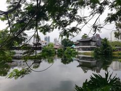 -荔湾湖公园