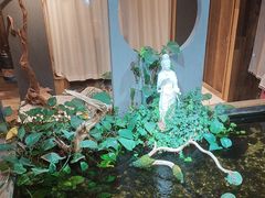 -邈墨茶馆(大兜路1号店)