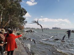 -滇池海埂公园