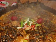 -老板恋上鱼(恒隆广场店)