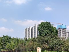 -映月湖公园