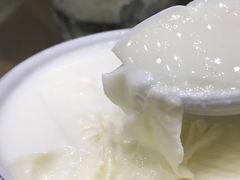 双皮奶-义顺牛奶公司(新马路老店)