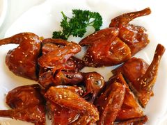 脆皮乳鸽-新南华大酒店(长寿店)