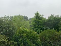 -梅林春晓花园餐厅