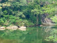 -龙湾潭国家森林公园