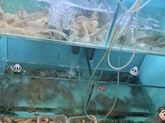 水产区-小时候焗海鲜(鄞州万达店)