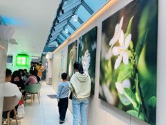 -奈雪的茶(赛格店)