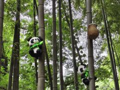 -宝岩生态观光园