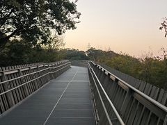 -福道