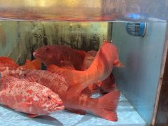-阿伟海鲜楼·福建菜(延寿店)