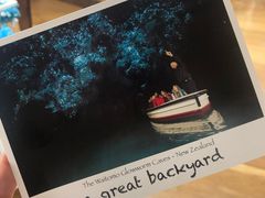 -怀托摩萤火虫洞