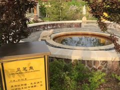 -大连金石滩绿发温泉假日酒店
