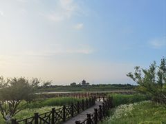 -上海海湾国家森林公园