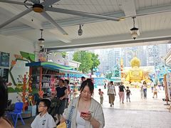 -海合安成都极地海洋公园