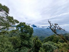 -青城山