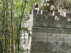 -铁山坪森林公园